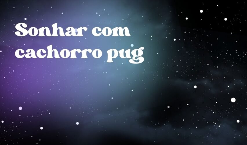 Sonhar com cachorro pug