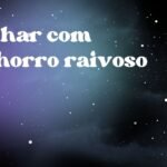 Sonhar com cachorro raivoso