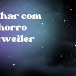 Sonhar com cachorro rottweiler