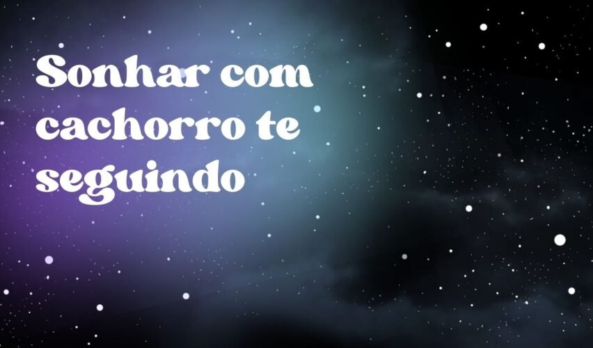 Sonhar com cachorro te seguindo