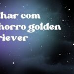 Sonhar com cachorro golden retriever