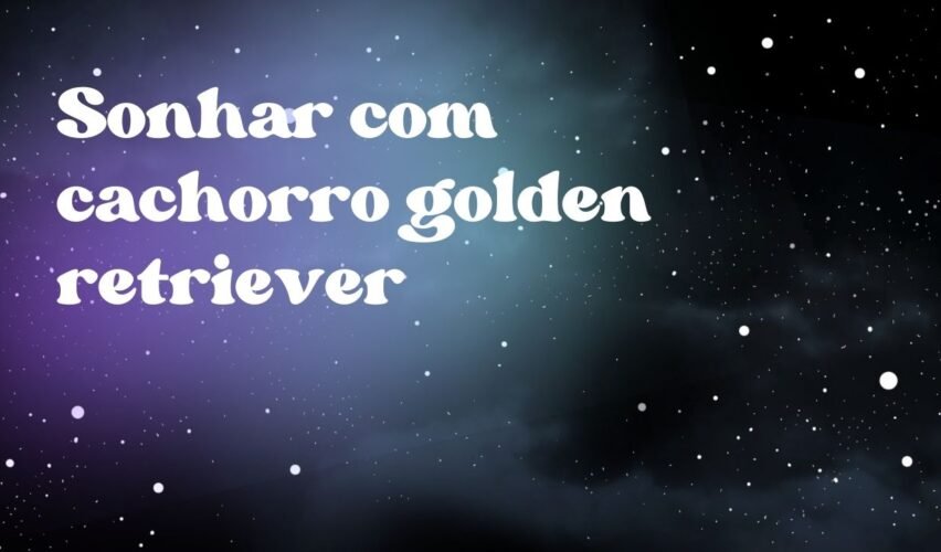 Sonhar com cachorro golden retriever