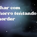 Sonhar com cachorro tentando te morder