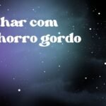 Sonhar com cachorro gordo