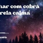 Sonhar com cobra amarela calma