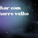 Sonhar com cachorro velho