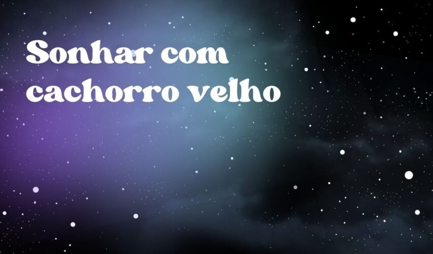 Sonhar com cachorro velho