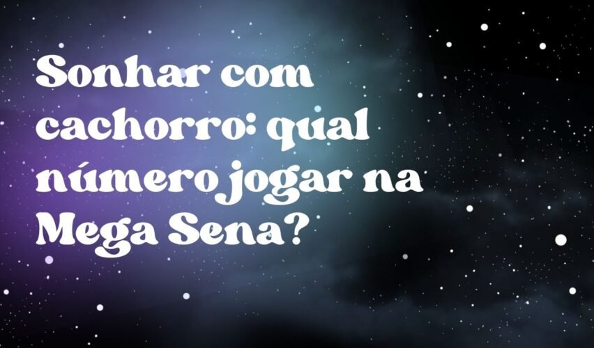 Sonhar com cachorro: qual número jogar na Mega Sena?