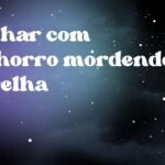 Sonhar com cachorro mordendo a orelha