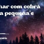 Sonhar com cobra preta pequena e fina