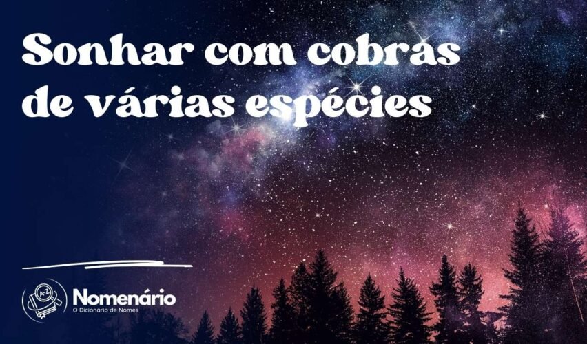 Sonhar com cobras de várias espécies