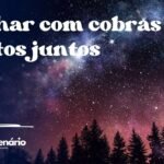 Sonhar com cobras e ratos juntos