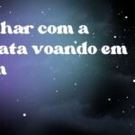Sonhar com a barata voando em mim