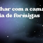 Sonhar com a cama cheia de formigas