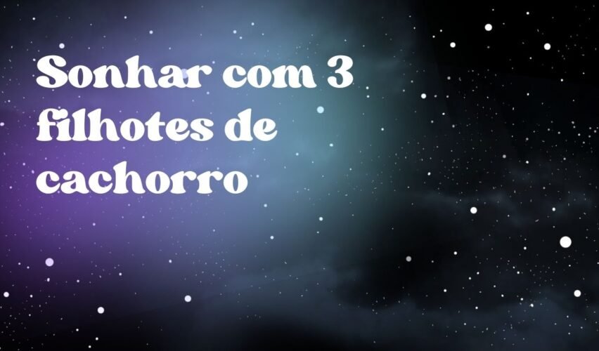 Sonhar com 3 filhotes de cachorro