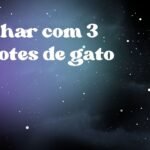 Sonhar com 3 filhotes de gato