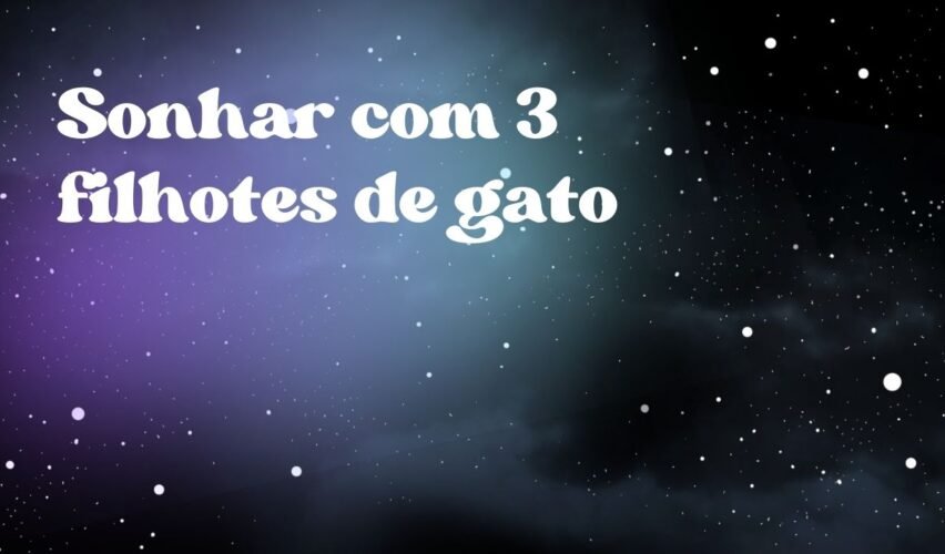 Sonhar com 3 filhotes de gato