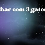 Sonhar com 3 gatos
