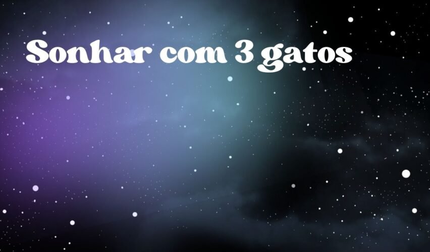 Sonhar com 3 gatos
