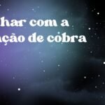 Sonhar com a criação de cobra