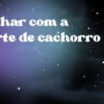 Sonhar com a morte de cachorro