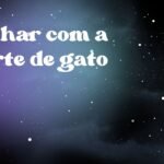 Sonhar com a morte de gato