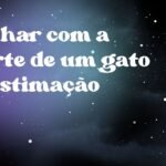 Sonhar com a morte de um gato de estimação