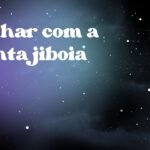 Sonhar com a planta jiboia