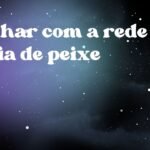 Sonhar com a rede cheia de peixe