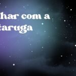Sonhar com a tartaruga