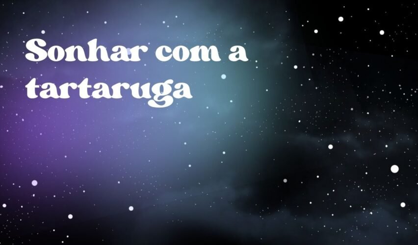 Sonhar com a tartaruga