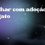 Sonhar com adoção de gato