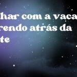 Sonhar com a vaca correndo atrás da gente