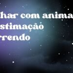 Sonhar com animal de estimação morrendo