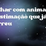 Sonhar com animal de estimação que já morreu
