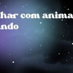 Sonhar com animal falando