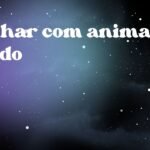 Sonhar com animal ferido