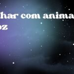 Sonhar com animal feroz