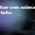 Sonhar com animal marinho