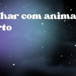 Sonhar com animal morto
