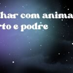 Sonhar com animal morto e podre