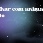 Sonhar com animal preto