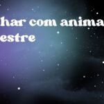 Sonhar com animal silvestre