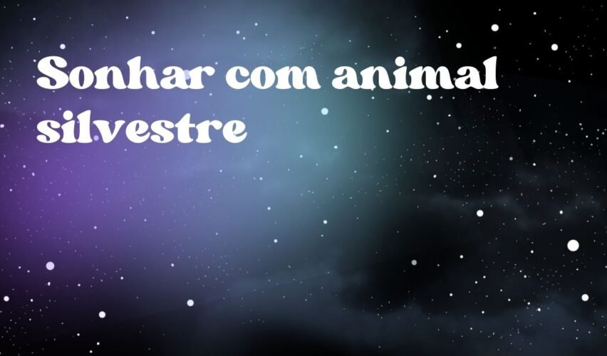 Sonhar com animal silvestre