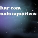 Sonhar com animais aquáticos
