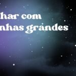 Sonhar com aranhas grandes