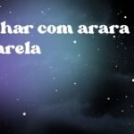 Sonhar com arara amarela
