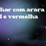 Sonhar com arara azul e vermelha