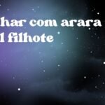 Sonhar com arara azul filhote