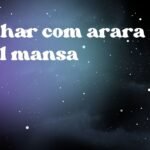 Sonhar com arara azul mansa